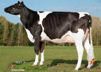 HURION ISY - Prim'Holstein